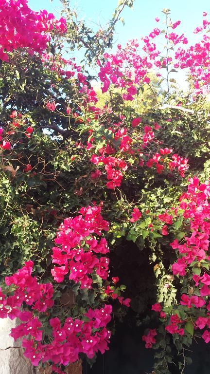马约里斯德西玛Puig De Ros别墅 外观 照片